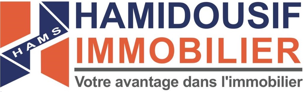 LOGO HAMIDOUSIF